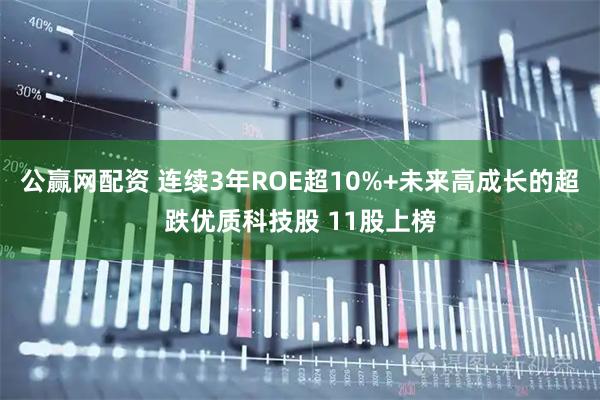 公赢网配资 连续3年ROE超10%+未来高成长的超跌优质科技股 11股上榜