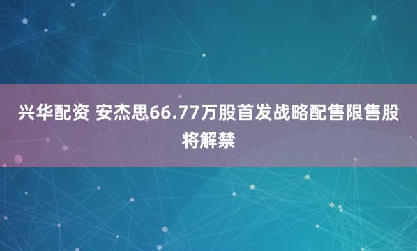 兴华配资 安杰思66.77万股首发战略配售限售股将解禁