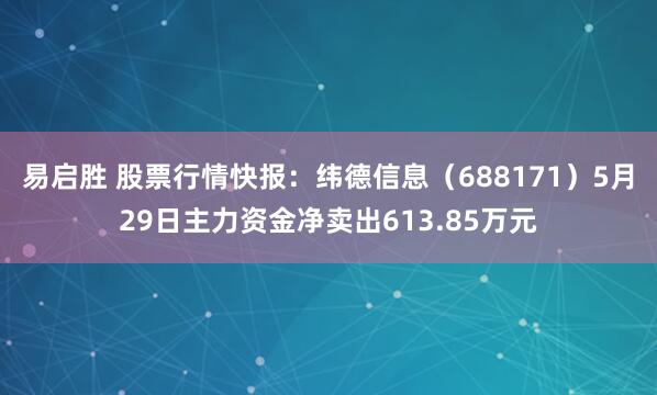 易启胜 股票行情快报：纬德信息（688171）5月29日主力资金净卖出613.85万元