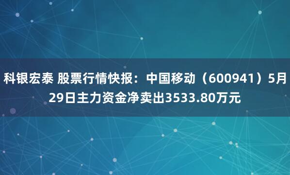 科银宏泰 股票行情快报：中国移动（600941）5月29日主力资金净卖出3533.80万元