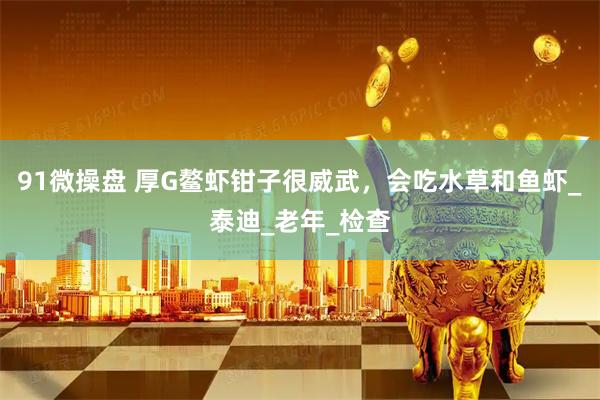 91微操盘 厚G鳌虾钳子很威武，会吃水草和鱼虾_泰迪_老年_检查