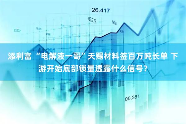 添利富 “电解液一哥”天赐材料签百万吨长单 下游开始底部锁量透露什么信号？